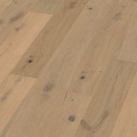 Oak No 31 - Galloway